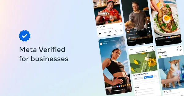 Account Status Infomation